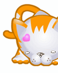 pic for Cute Little Kitten